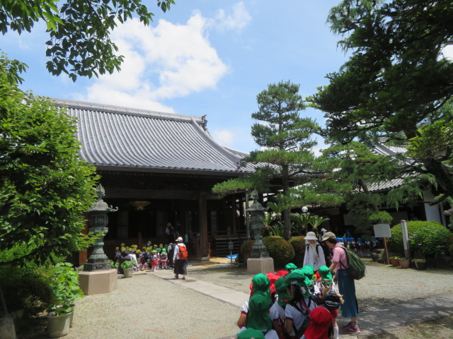 園長先生からのごあいさつ…6月のメッセージ